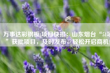 万事达彩钢板(项目快报：山东烟台“51项”获批项目，及时发布，轻松开启商机)