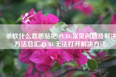 杀软什么意思贴吧(PUBG常见问题及解决方法总汇 PUBG无法打开解决方法)