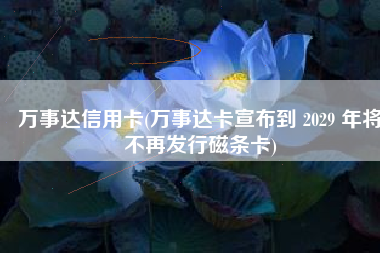 万事达信用卡(万事达卡宣布到 2029 年将不再发行磁条卡)