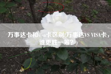 万事达卡和visa卡区别(万事达VS VISA卡，谁更胜一筹？)