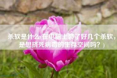 杀软是什么(在电脑上装了好几个杀软，是想挤死病毒的生存空间吗？)