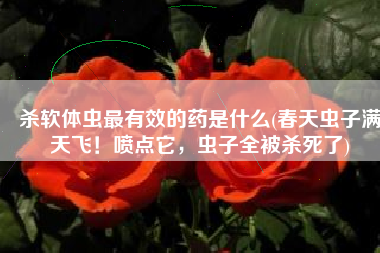 杀软体虫最有效的药是什么(春天虫子满天飞！喷点它，虫子全被杀死了)