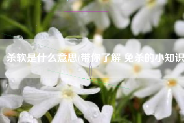 杀软是什么意思(带你了解 免杀的小知识)