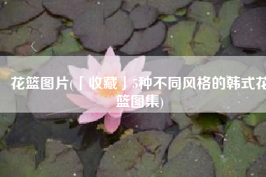 花篮图片(「收藏」5种不同风格的韩式花篮图集)