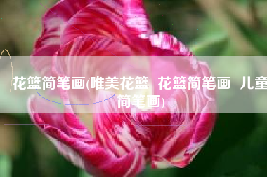 花篮简笔画(唯美花篮  花篮简笔画  儿童简笔画)