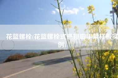 花篮螺栓(花篮螺栓式悬挑脚手架样板实例)