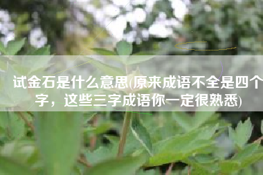 试金石是什么意思(原来成语不全是四个字，这些三字成语你一定很熟悉)