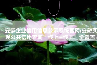 安徽企业信用信息公示系统官网(安徽实现公共信用查询“线上+线下”全覆盖)