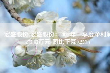 宏盛股份(宏盛股份：2022年一季度净利润275.83万元 同比下降0.25%)