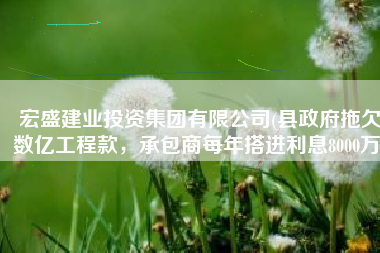 宏盛建业投资集团有限公司(县政府拖欠数亿工程款，承包商每年搭进利息8000万)