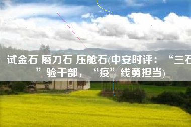 试金石 磨刀石 压舱石(中安时评：“三石”验干部，“疫”线勇担当)