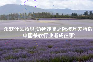 杀软什么意思(苟延残喘之际被万夫所指，中国杀软行业渐成往事)