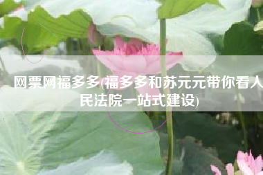 网票网福多多(福多多和苏元元带你看人民法院一站式建设)