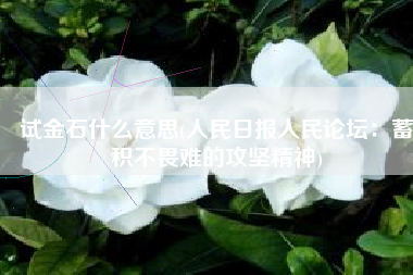 试金石什么意思(人民日报人民论坛：蓄积不畏难的攻坚精神)