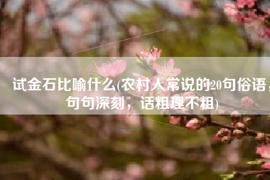 试金石比喻什么(农村人常说的20句俗语，句句深刻，话粗理不粗)