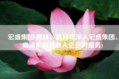 宏盛集团(柳林：杨月祥深入宏盛集团、森泽集团开展入企进村服务)