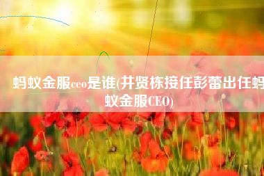 蚂蚁金服ceo是谁(井贤栋接任彭蕾出任蚂蚁金服CEO)