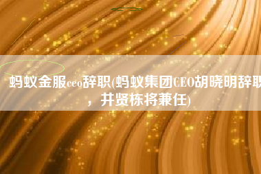 蚂蚁金服ceo辞职(蚂蚁集团CEO胡晓明辞职，井贤栋将兼任)