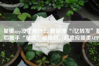 星援app没了用什么(蔡徐坤“1亿转发”幕后推手“星援”被查封，起底应援类APP)