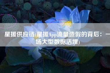 星援供应链(星援App流量造假的背后：一场大型数据活埋)