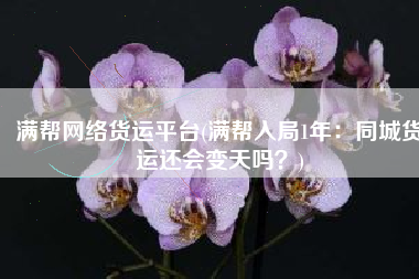 满帮网络货运平台(满帮入局1年：同城货运还会变天吗？)