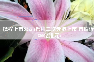 携程上市公司(携程二次赴港上市 市值近1800亿港元)