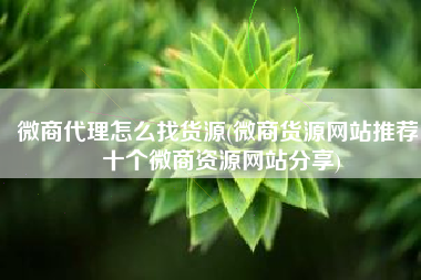 微商代理怎么找货源(微商货源网站推荐 十个微商资源网站分享)