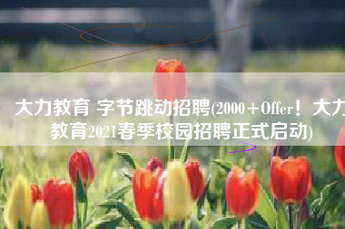 大力教育 字节跳动招聘(2000+Offer！大力教育2021春季校园招聘正式启动)