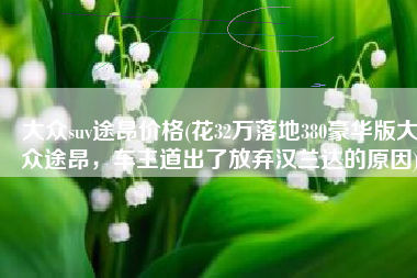大众suv途昂价格(花32万落地380豪华版大众途昂，车主道出了放弃汉兰达的原因)