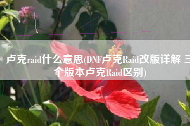 卢克raid什么意思(DNF卢克Raid改版详解 三个版本卢克Raid区别)
