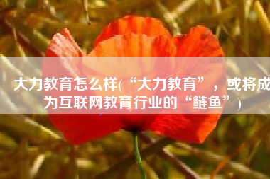 大力教育怎么样(“大力教育”，或将成为互联网教育行业的“鲢鱼”)