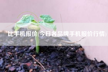 比手机报价(今日各品牌手机报价行情)