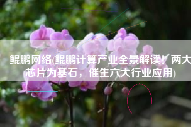 鲲鹏网络(鲲鹏计算产业全景解读！两大芯片为基石，催生六大行业应用)