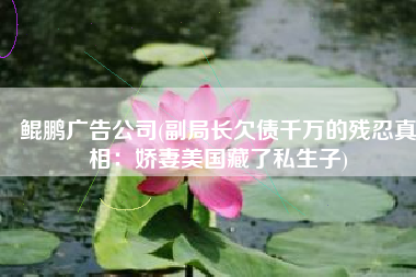 鲲鹏广告公司(副局长欠债千万的残忍真相：娇妻美国藏了私生子)