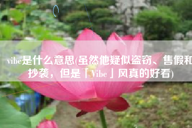 vibe是什么意思(虽然他疑似盗窃、售假和抄袭，但是「Vibe」风真的好看)