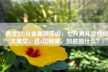 男变女(从金星到李由，七尺男儿变性成大美女，这6位明星，到底图什么？)