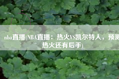 nba直播(NBA直播：热火VS凯尔特人，预测热火还有后手)