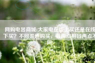 网购电器商城(大家电在线上买还是在线下买？不同渠道购买，有两点相同两点不同)