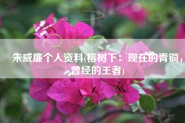 朱威廉个人资料(榕树下：现在的青铜，曾经的王者)