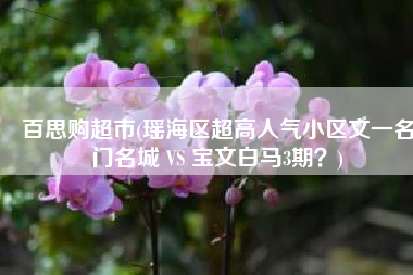 百思购超市(瑶海区超高人气小区文一名门名城 VS 宝文白马3期？)