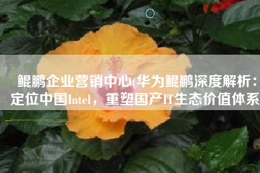 鲲鹏企业营销中心(华为鲲鹏深度解析：定位中国Intel，重塑国产IT生态价值体系)