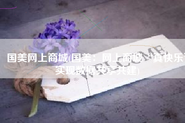国美网上商城(国美：网上商城“真快乐”实现数据共享共建)