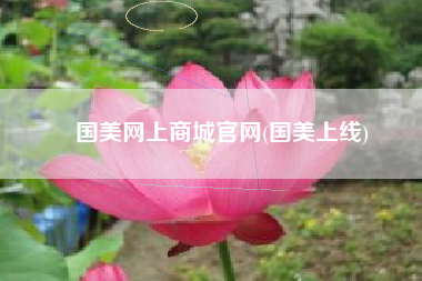 国美网上商城官网(国美上线)