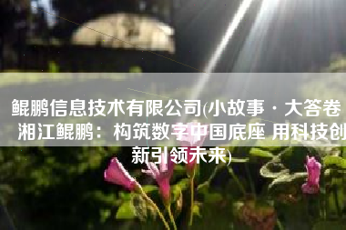 鲲鹏信息技术有限公司(小故事·大答卷｜湘江鲲鹏：构筑数字中国底座 用科技创新引领未来)