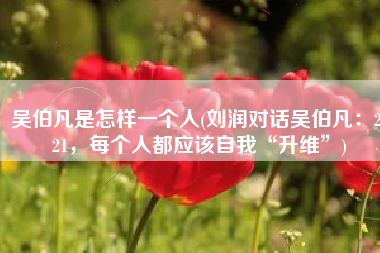 吴伯凡是怎样一个人(刘润对话吴伯凡：2021，每个人都应该自我“升维”)