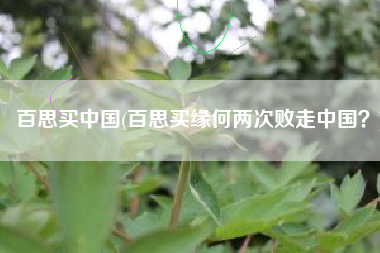 百思买中国(百思买缘何两次败走中国？)