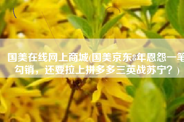 国美在线网上商城(国美京东8年恩怨一笔勾销，还要拉上拼多多三英战苏宁？)