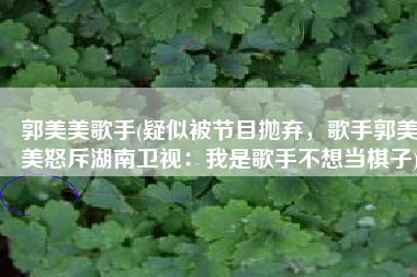 郭美美歌手(疑似被节目抛弃，歌手郭美美怒斥湖南卫视：我是歌手不想当棋子)