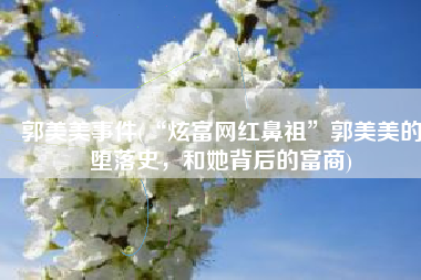 郭美美事件(“炫富网红鼻祖”郭美美的堕落史，和她背后的富商)