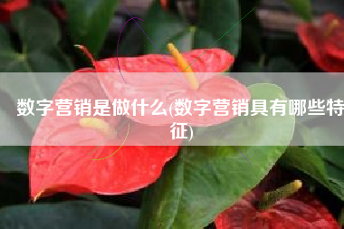 数字营销是做什么(数字营销具有哪些特征)